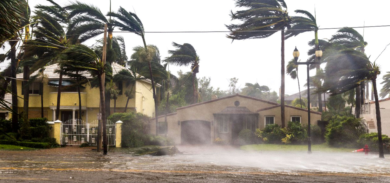 Photo of earth-toned stucco houses along a street flooded with water, surrounded by green palm trees whipped by severe wind